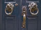 BackBay: Image