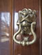 BackBay: Image