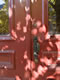 BackBay: Image