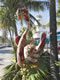  Miami: Image
